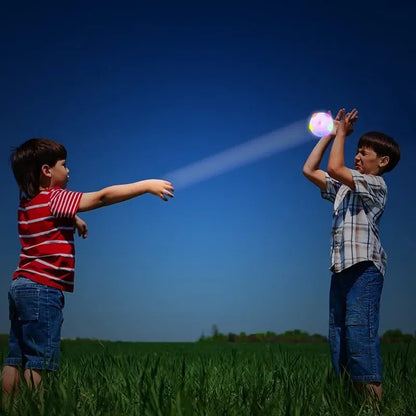 Colorful Interactive Glow Dog Ball Toy