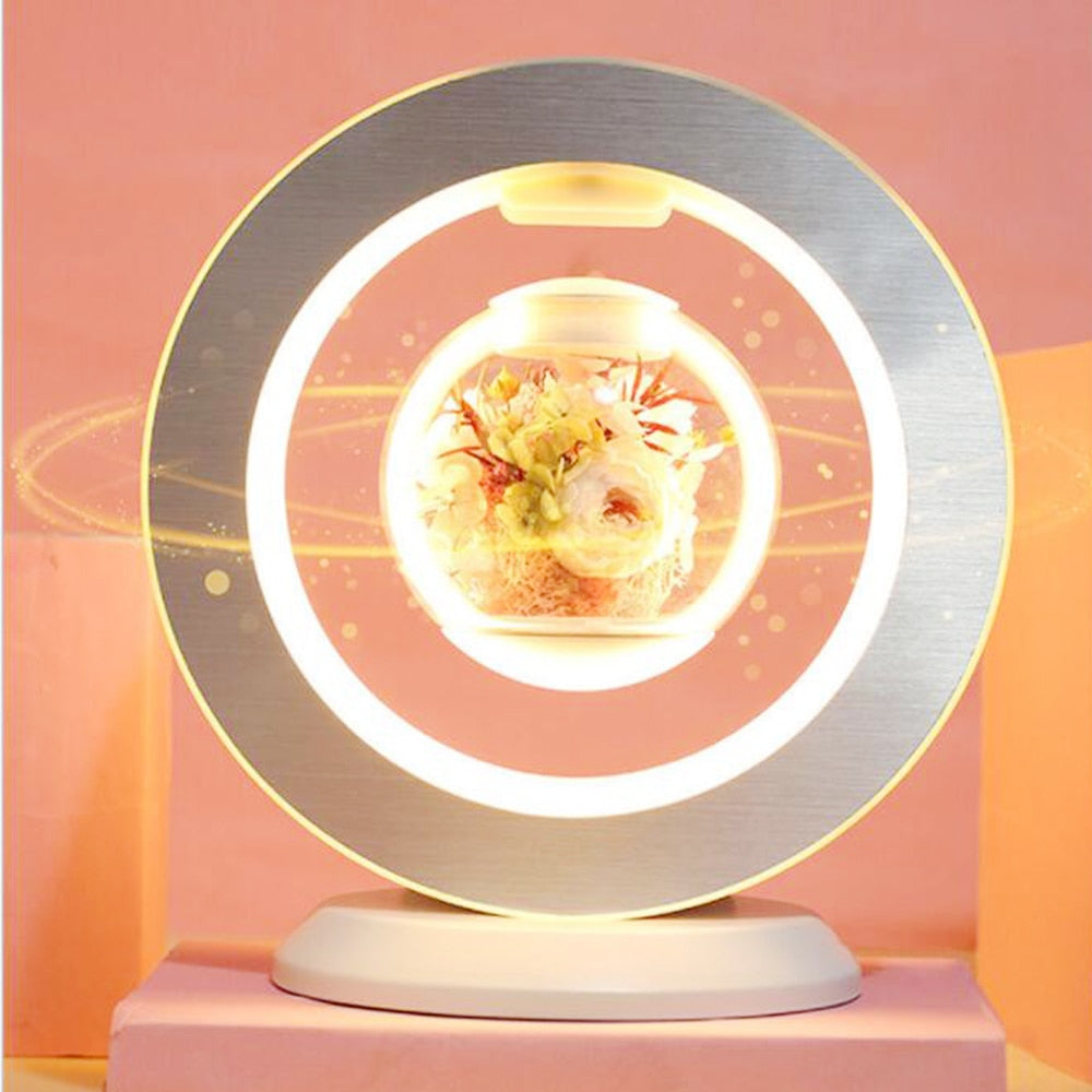 Modern Hanging LED Ceiling Lamp