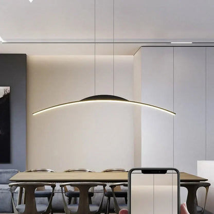 Modern Overhead LED Light Fixture for Home