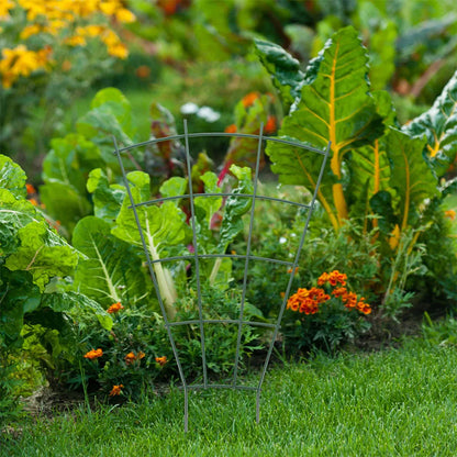 Sturdy 3pc Garden Plant Stake Set