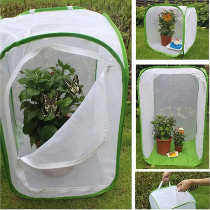 Collapsible Insect Catcher Kit for Butterfly Rearing - Luxicro