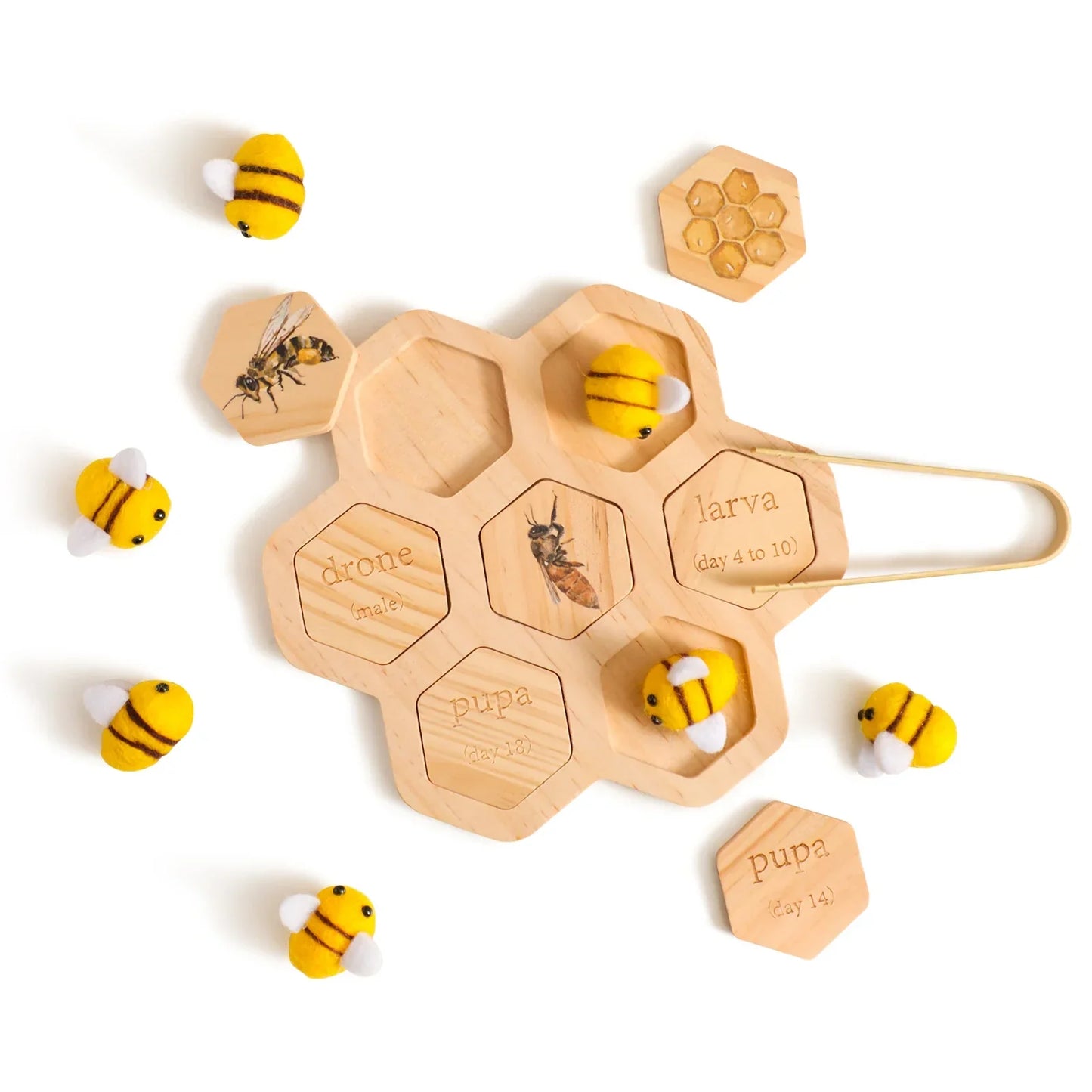 Baby Wooden Sensory Toy Set
