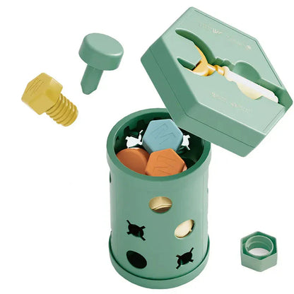 Colorful Wooden Screw Toy Set