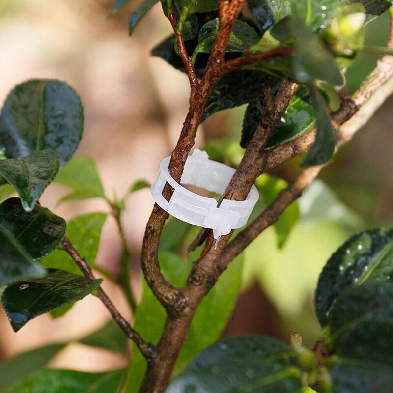 Simple Plant Support Clips