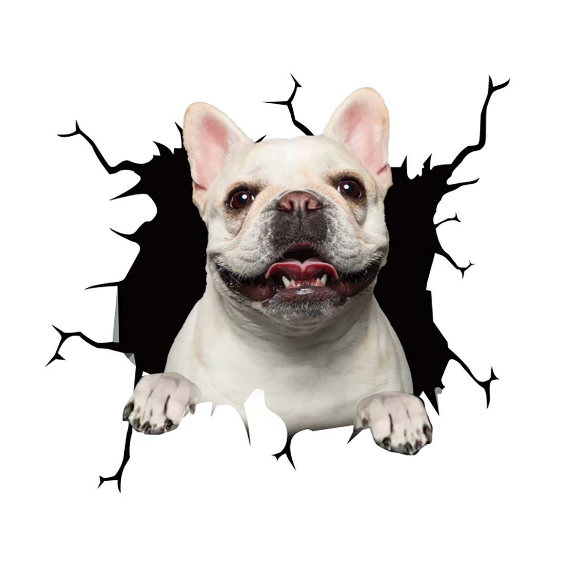 Cool Car Body Vinyl Protective Sticker Skin