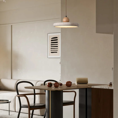 Chic Hanging Pendant Lamp