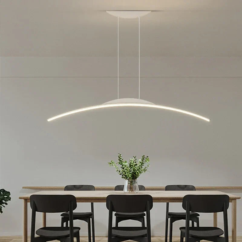 Modern Overhead LED Light Fixture for Home