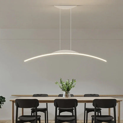 Modern Overhead LED Light Fixture for Home