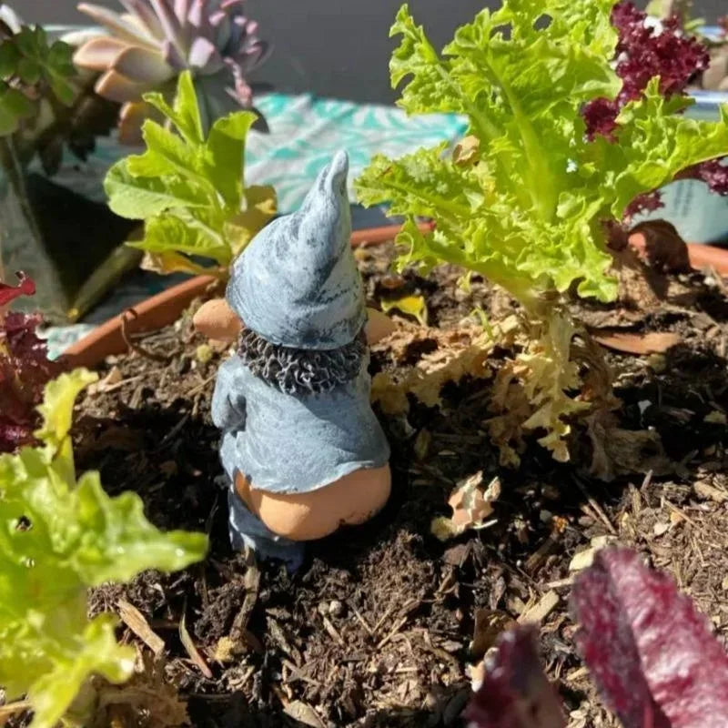 Fun Outdoor Garden Gnome Figurine Statue
