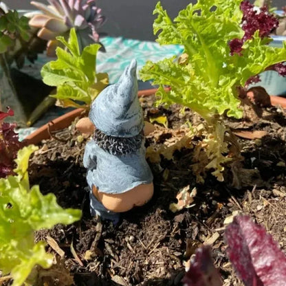 Fun Outdoor Garden Gnome Figurine Statue