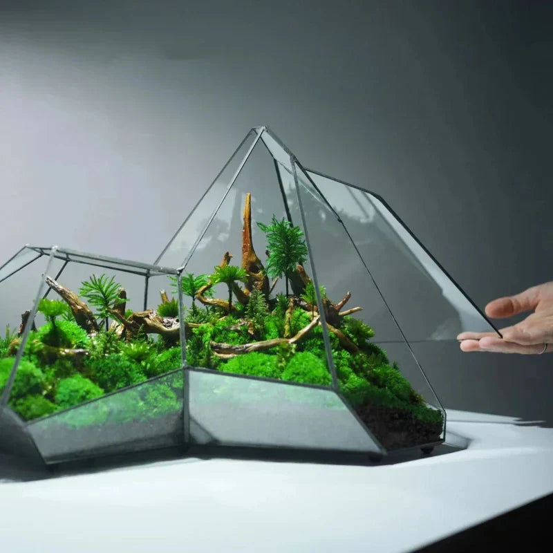 Decorative Glass Mini Indoor Planter Vase