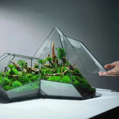 Decorative Glass Mini Indoor Planter Vase