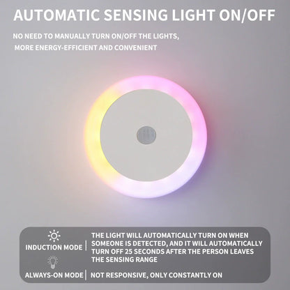 Clear Glass Modern Wall Light - Luxicro