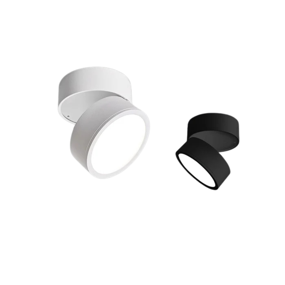 Adjustable Contemporary Ceiling LED Light