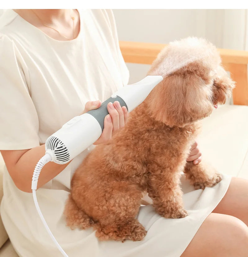 Pet Dryer Brush with Adjustable Temperature Control - Luxicro