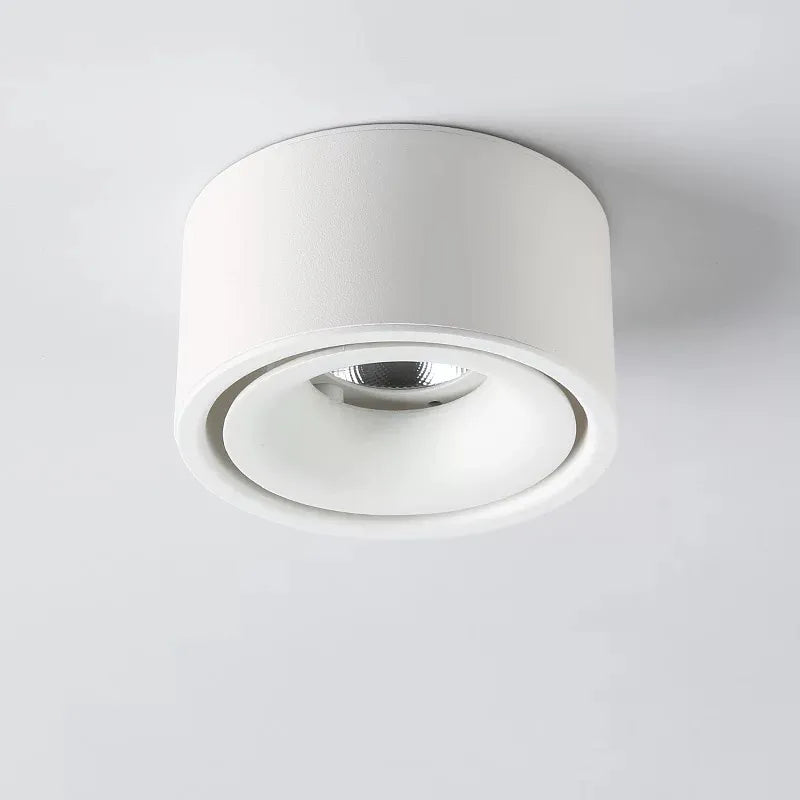 Non-reflective LED Recessed Ceiling Light