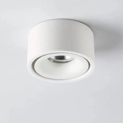 Non-reflective LED Recessed Ceiling Light