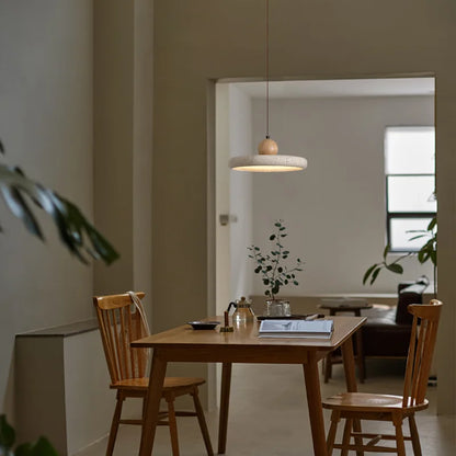Chic Hanging Pendant Lamp