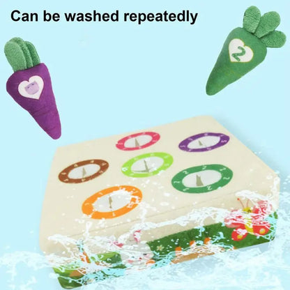 Fun Interactive Pet Play Mat