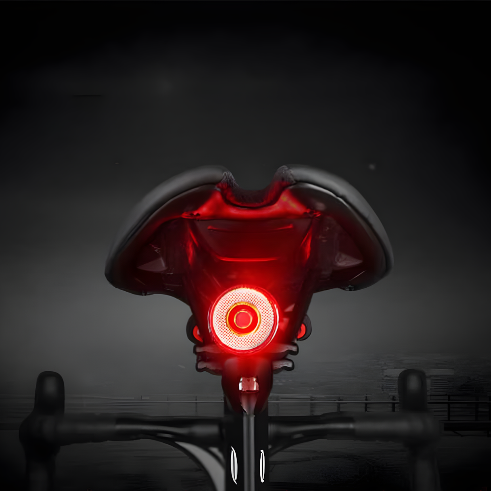 Bright Rear Bike LED Light with Automatic Brake Alert