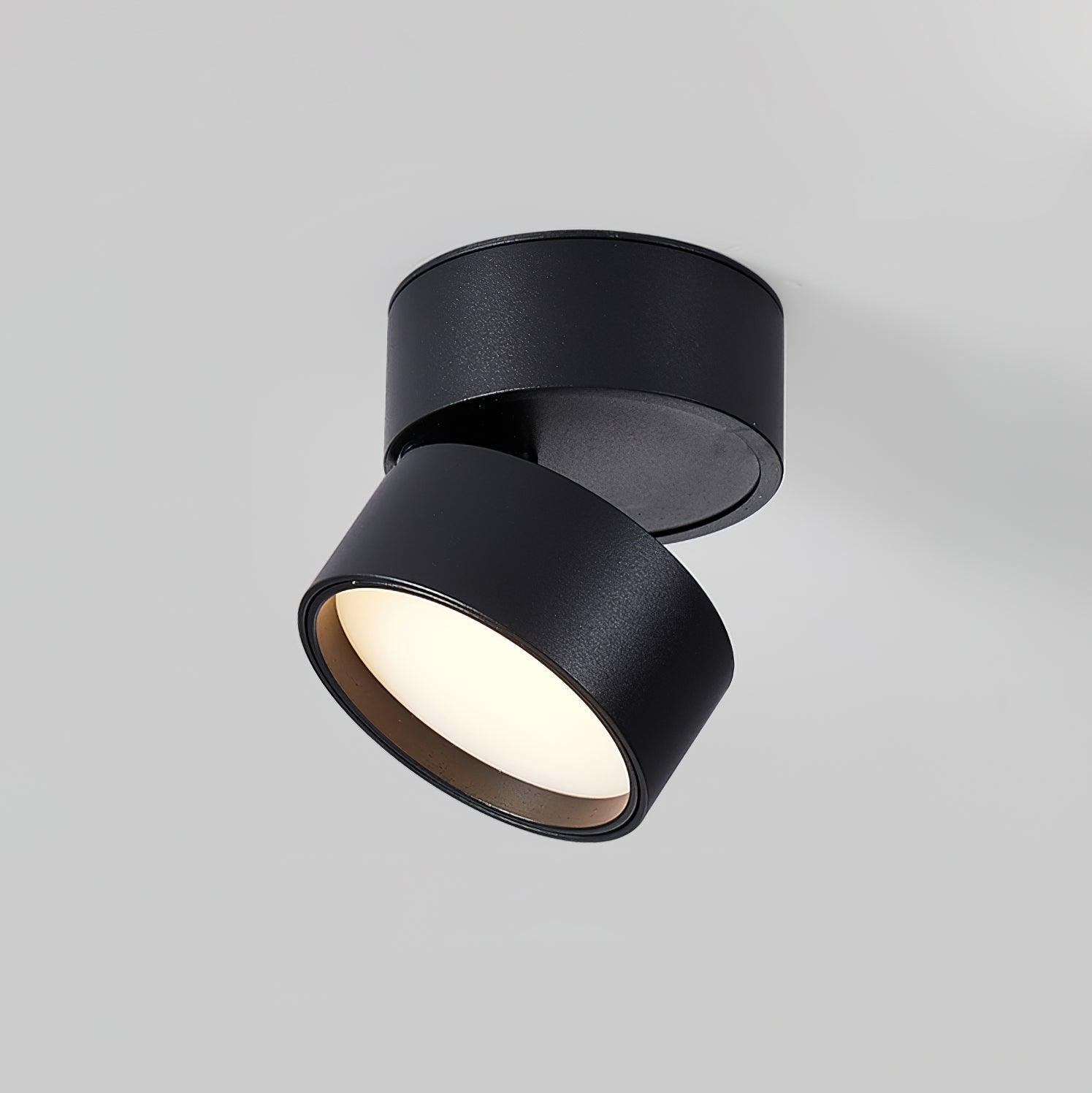 Bright Adjustable LED Indoor Light Fixture - Luxicro