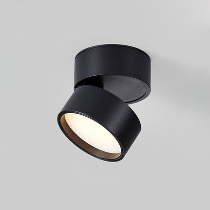 Bright Adjustable LED Indoor Light Fixture - Luxicro