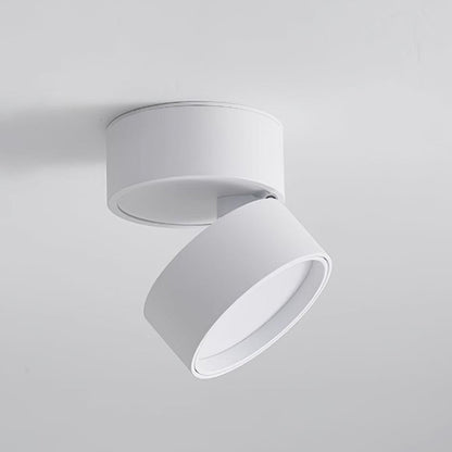 Bright Adjustable LED Indoor Light Fixture