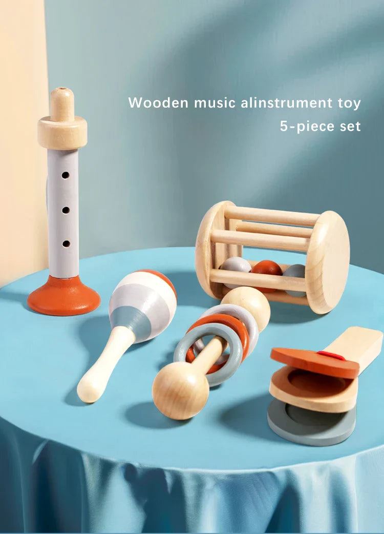 Baby Music Instrument Learning Set