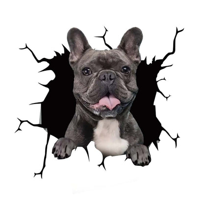 Cool Car Body Vinyl Protective Sticker Skin