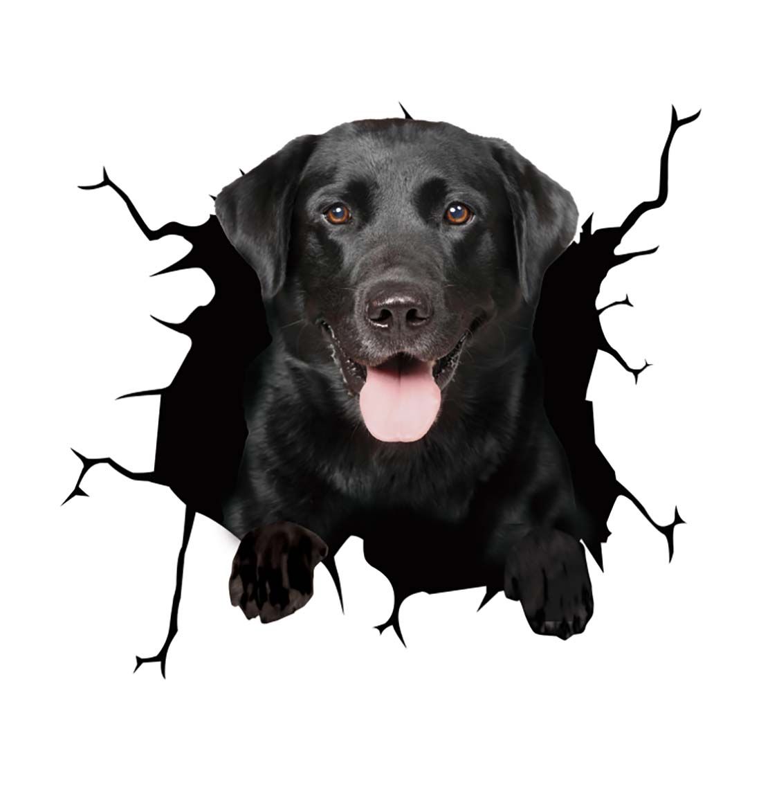 Cool Car Body Vinyl Protective Sticker Skin