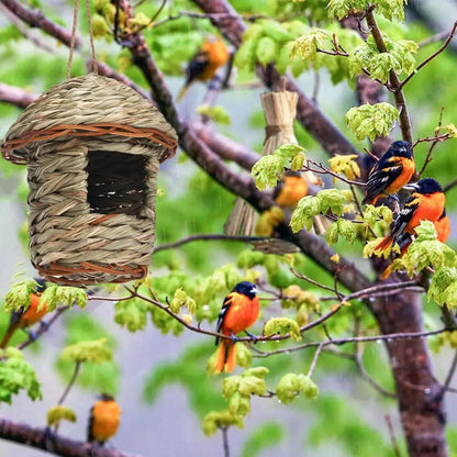 Cozy Natural Garden Bird House