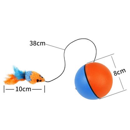 Colorful Electronic Cat Plaything Toy