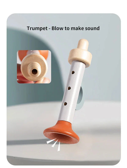 Baby Music Instrument Learning Set
