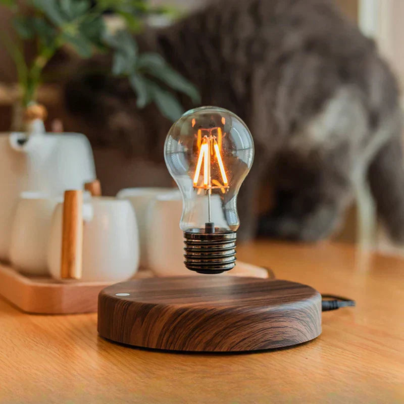 Rotating LED Nightlight with 360 Degree Spin - Luxicro