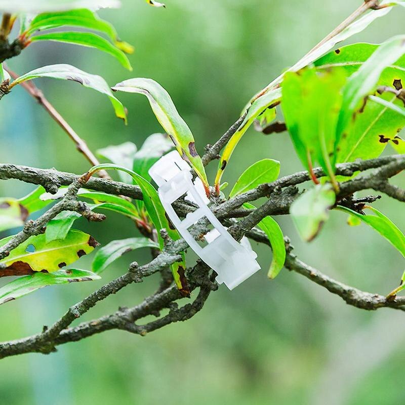Simple Plant Support Clips