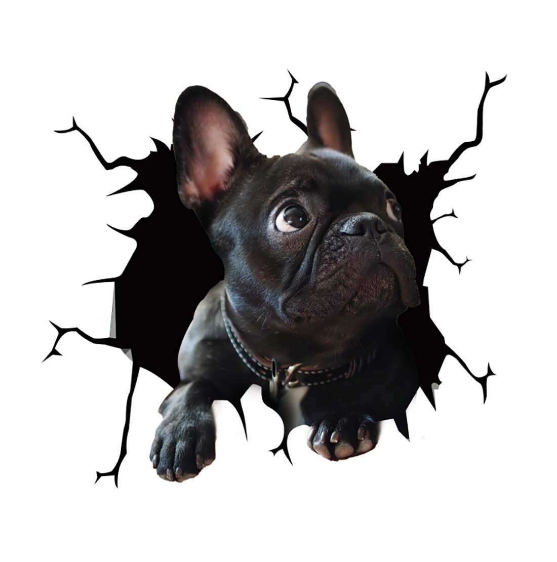 Cool Car Body Vinyl Protective Sticker Skin