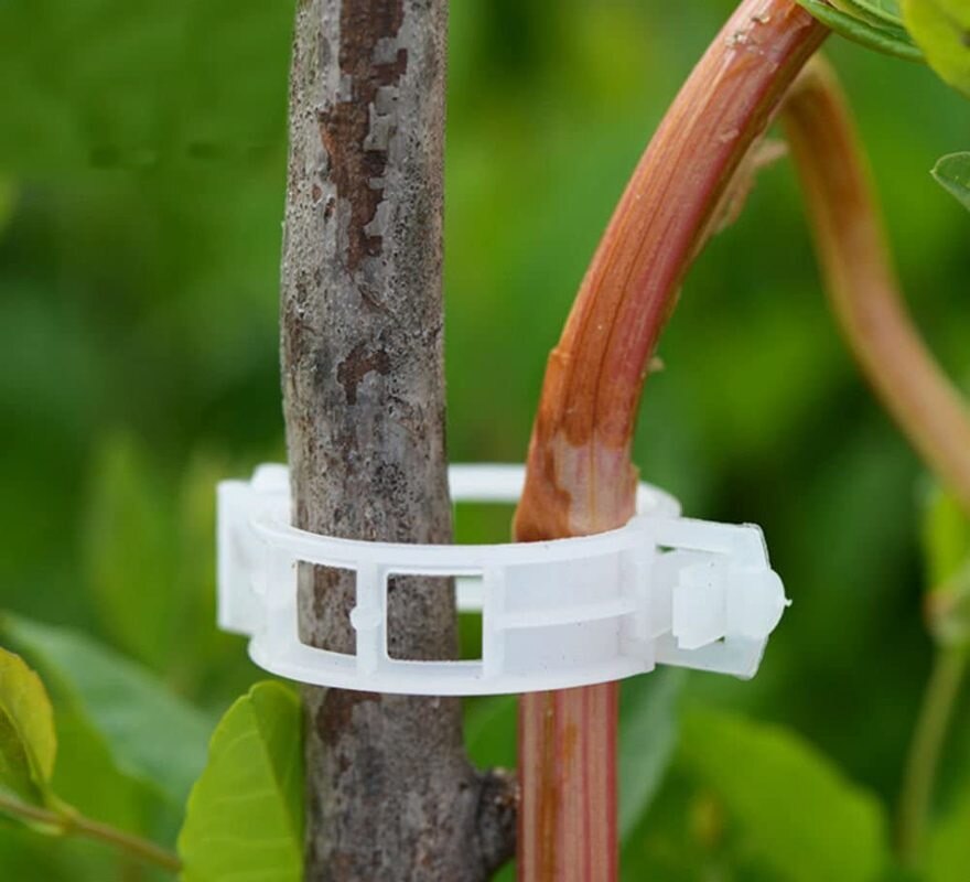 Simple Plant Support Clips