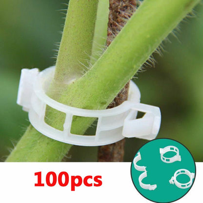 Simple Plant Support Clips - Luxicro