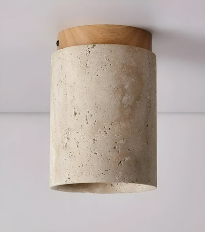 Beautiful Earthy LED Ceiling Lamp
