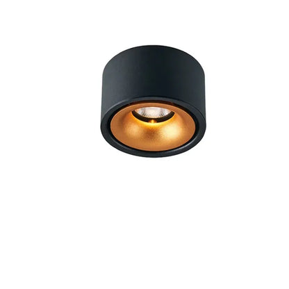 Non-reflective LED Recessed Ceiling Light