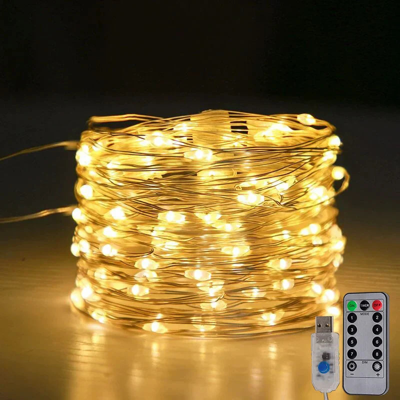 Bright Fairy Lights with USB and Remote