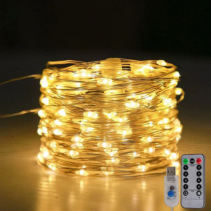 Bright Fairy Lights with USB and Remote