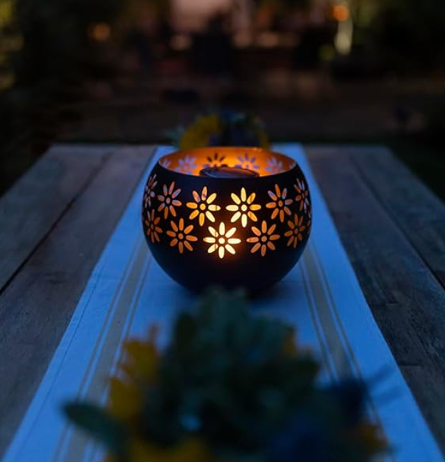 Garden Solar Powered String Lights