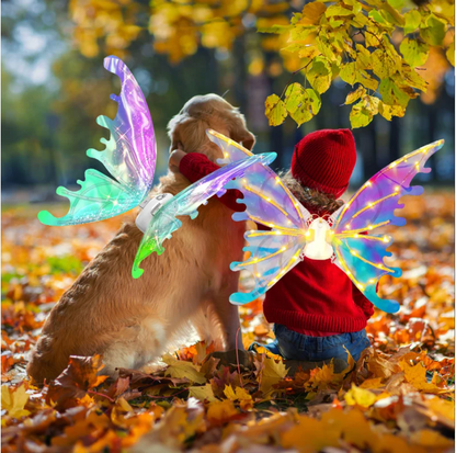 Enchanted Fairy Dress Up Costume