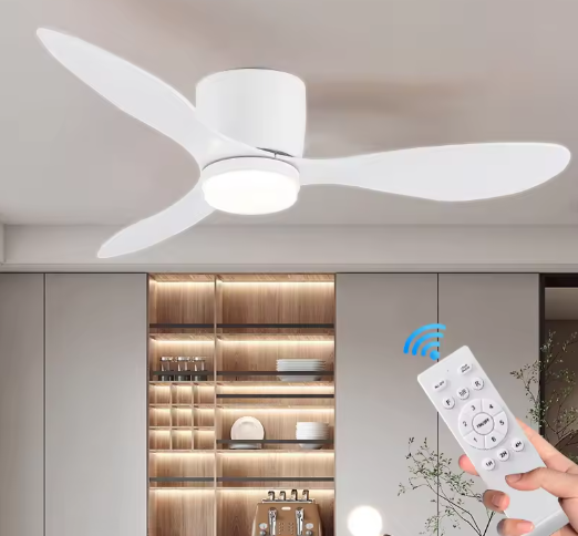Modern Ceiling Fan with LED Lighting and Remote Control