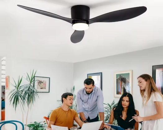 Modern Ceiling Fan with LED Lighting and Remote Control