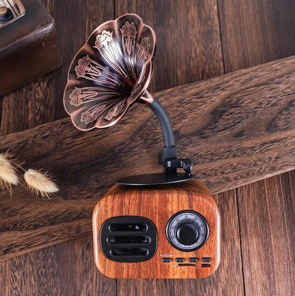 bluetooth-gramophone
