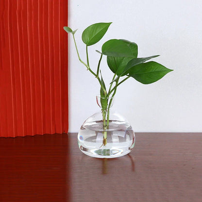Sleek Transparent Plant Pot Vase