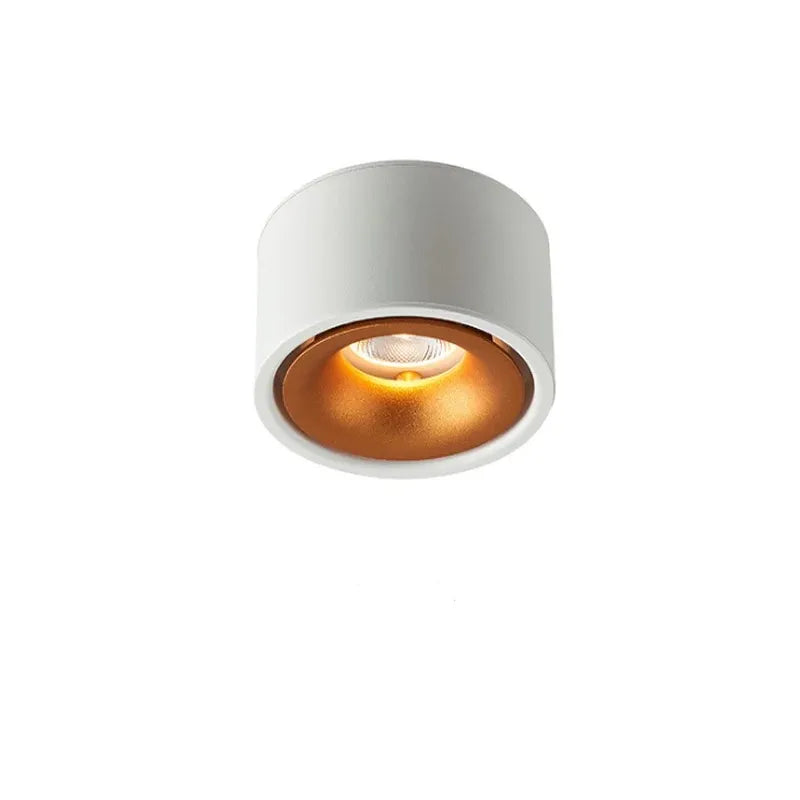 Non-reflective LED Recessed Ceiling Light
