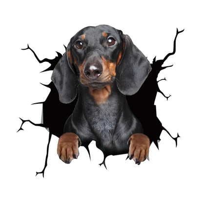 Cool Car Body Vinyl Protective Sticker Skin